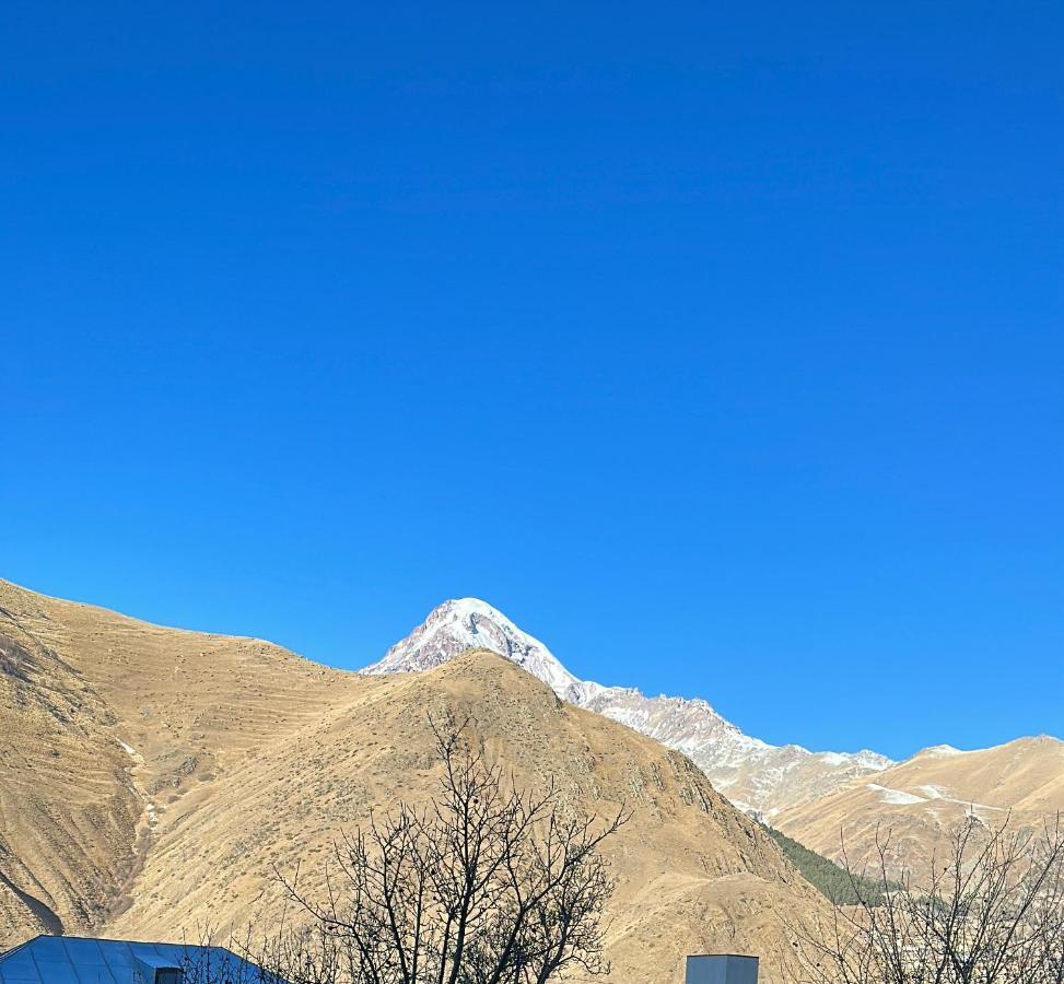 Dachi Inn Kazbegi Extérieur photo