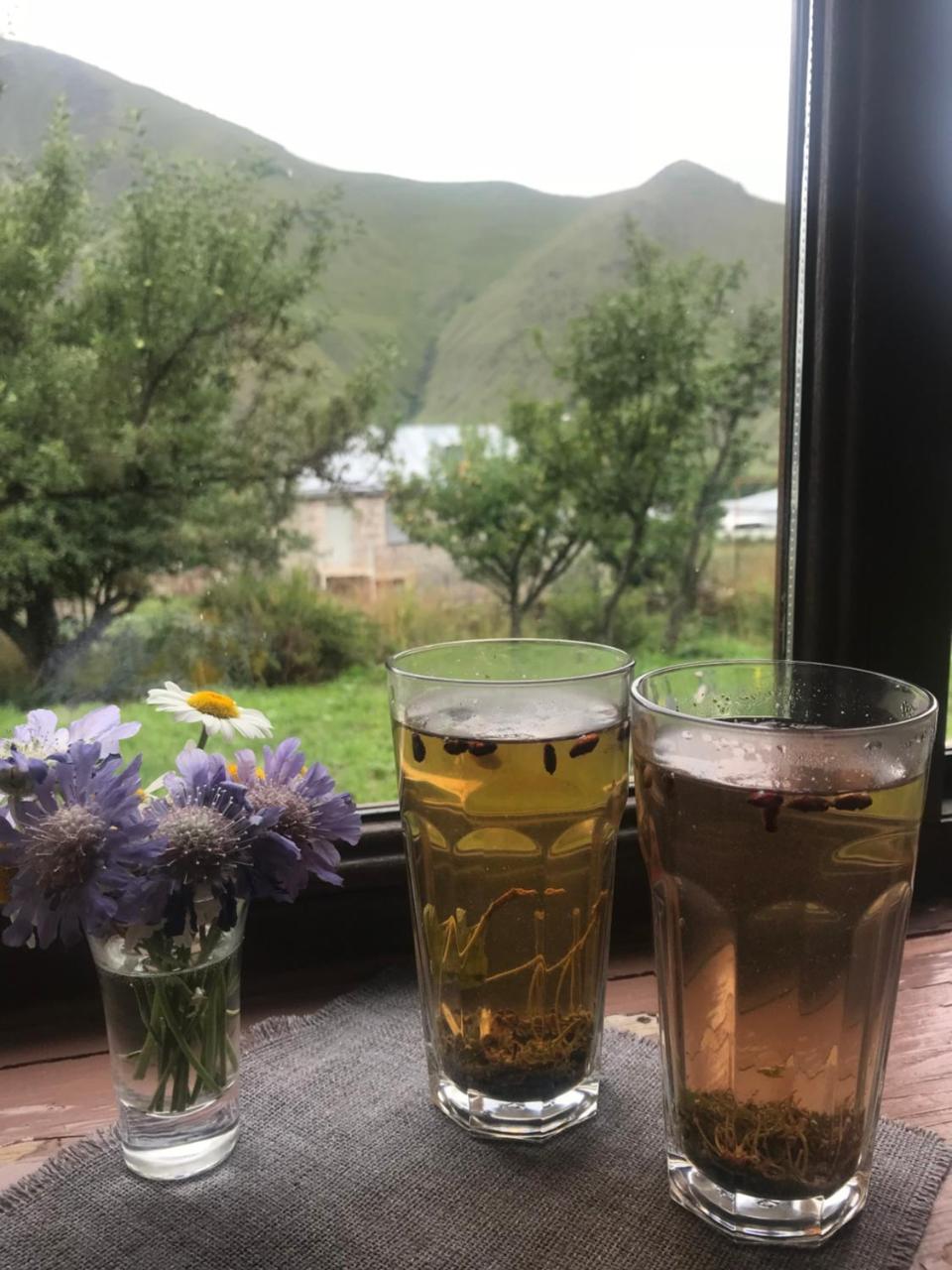 Dachi Inn Kazbegi Extérieur photo